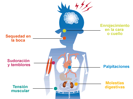 Consecuencias ansiedad